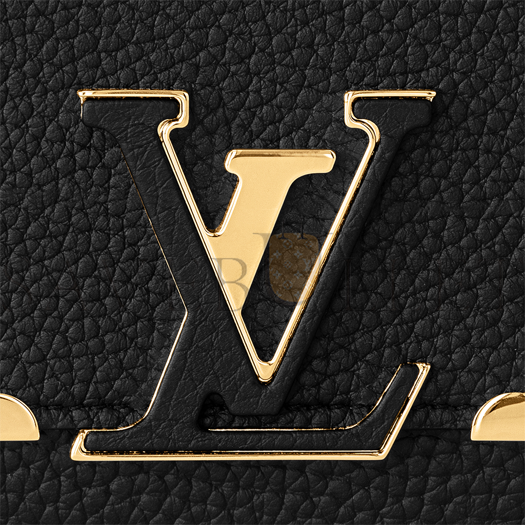 LOUIS VUITTON CAPUCINES WALLET M64551 (20*11*2.5cm)